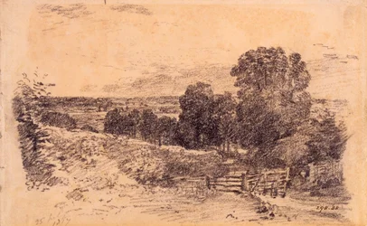 Un vicolo vicino a East Bergholt